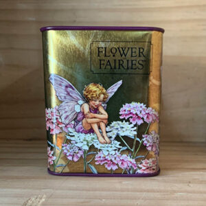 Flower Fairy Money Box